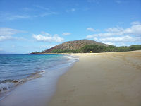Maui!